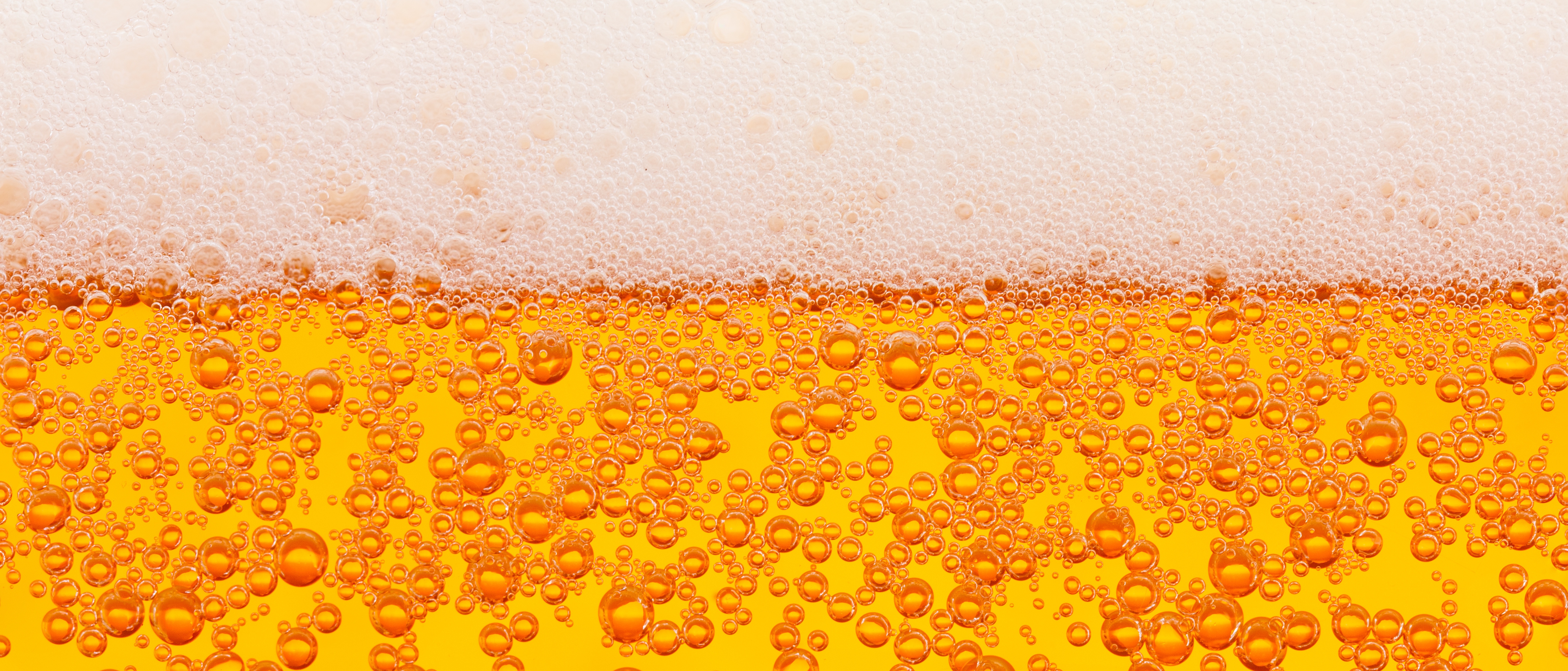 Beer's Hops May Help Slow Alzheimer's, Parkinson's Development
