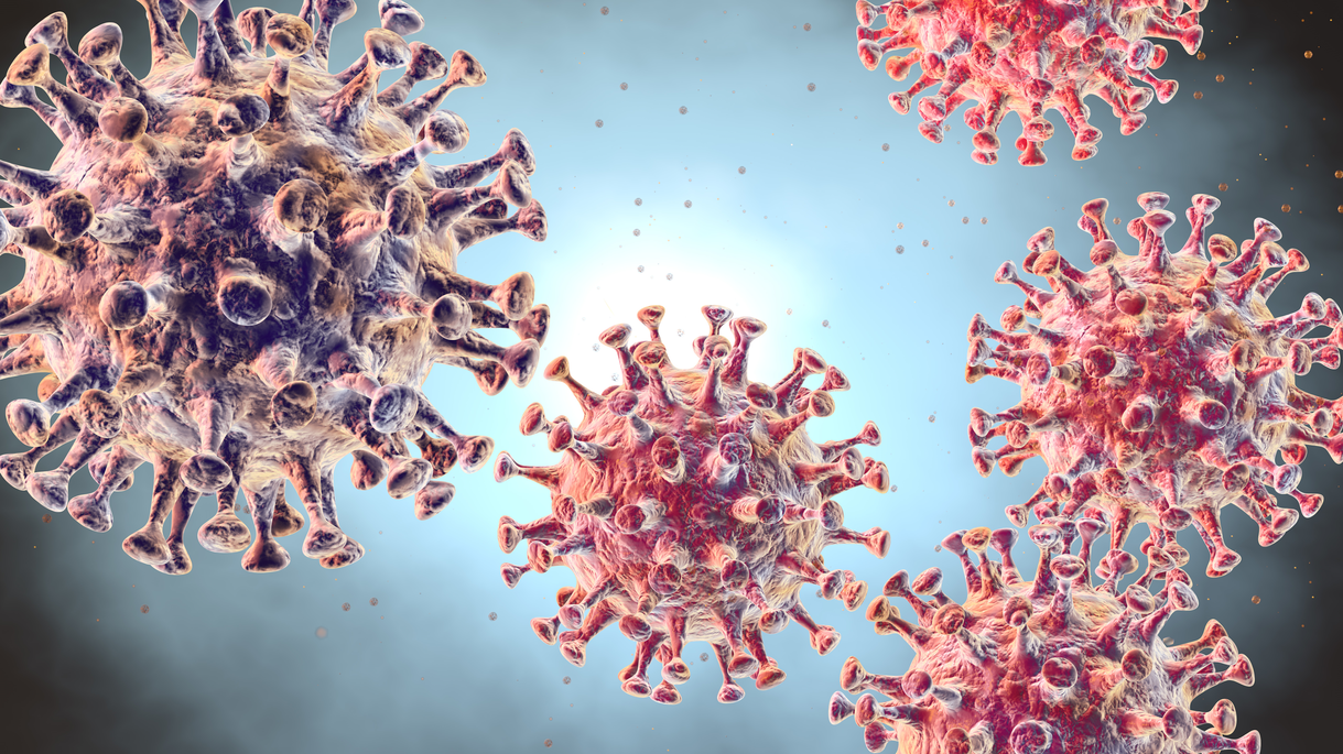 Two studies show new avenues for antiviral therapy for COVID-19