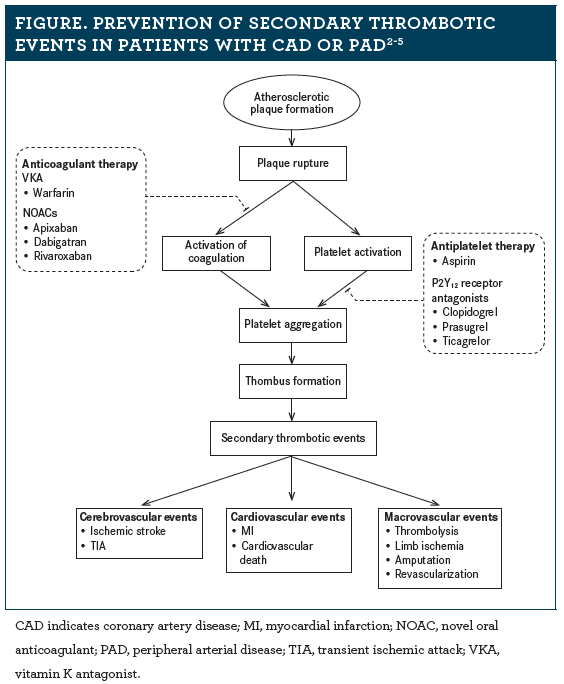 alavert pregnancy